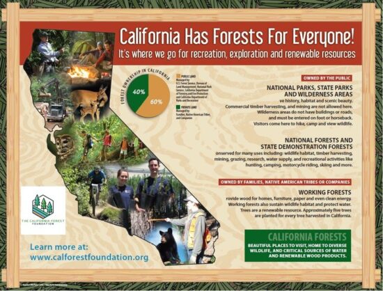 California Has Forests For Everyone Thumbnail