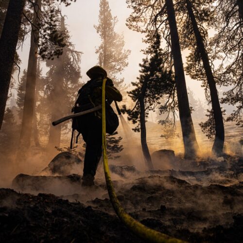 Fireman in forest putting fire out
