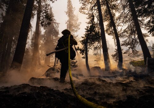 California’s Wildfire Crisis is a Rallying Cry for Help. Let’s Answer the Call.