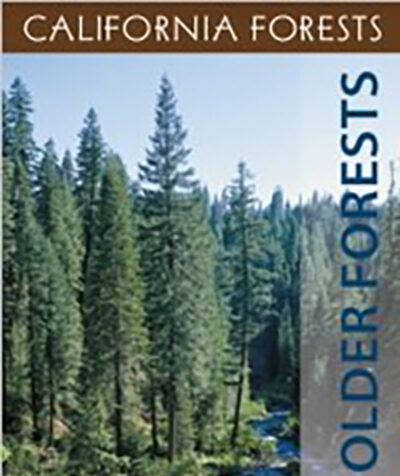 Mature_Forests_Trees_Bookmark_Side_1
